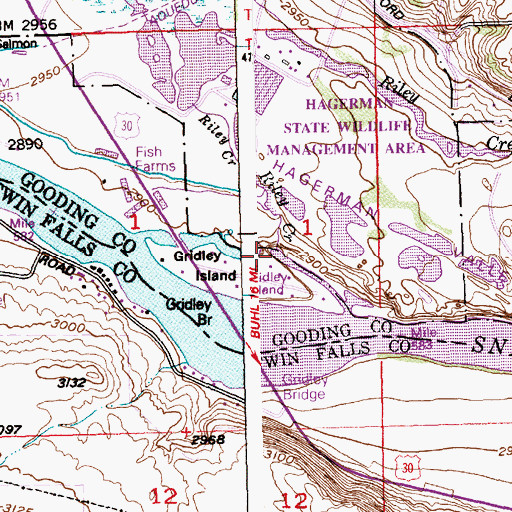 Topographic Map of Riley Creek, ID