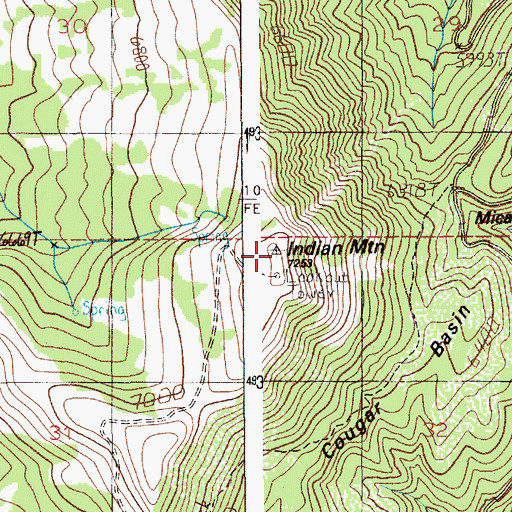Topographic Map of Indian Mountain, ID