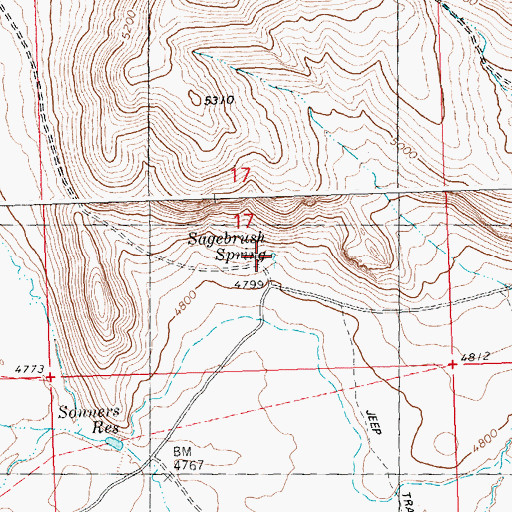 Topographic Map of Sagebrush Spring, ID