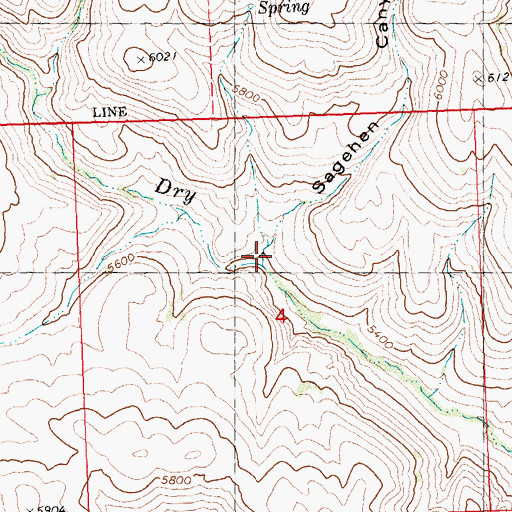 Topographic Map of Sagehen Canyon, ID