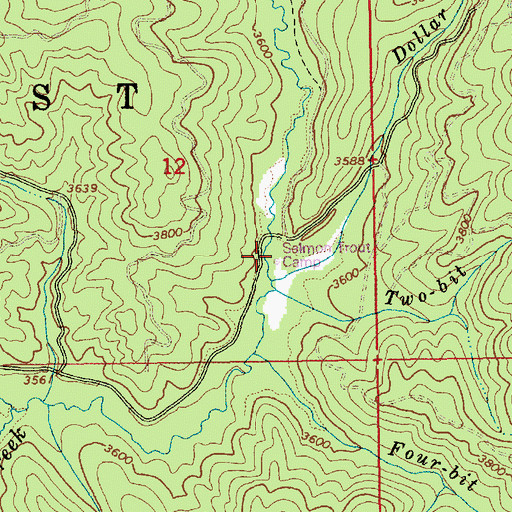 Topographic Map of Salmon Trout Camp, ID