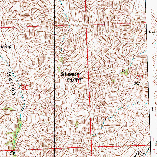 Topographic Map of Skeeter Point, ID