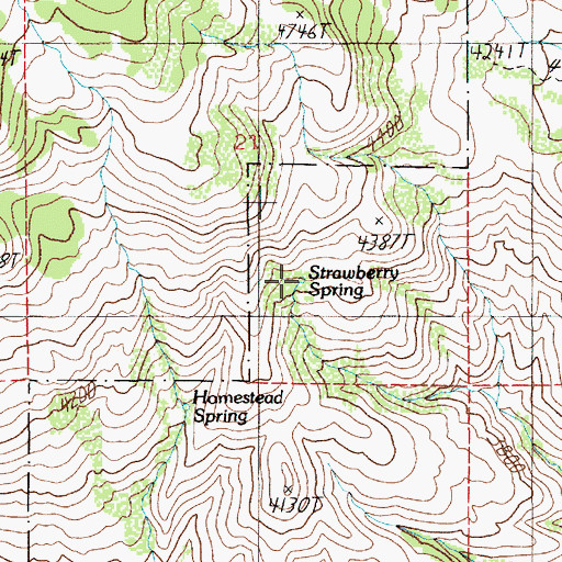 Topographic Map of Strawberry Spring, ID