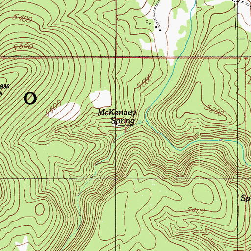 Topographic Map of McKenney Spring, AZ