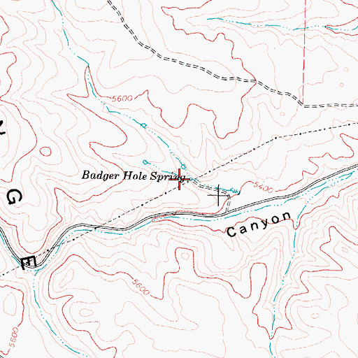 Topographic Map of Badger Hole Spring, ID