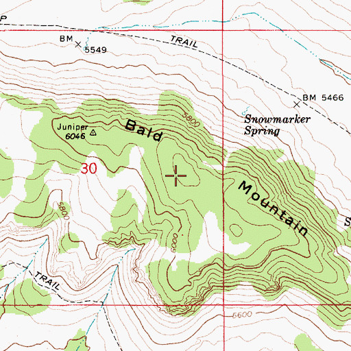 Topographic Map of Bald Mountain, ID