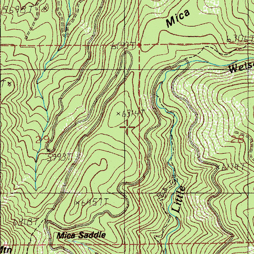 Topographic Map of Beer Bottle Crossing, ID