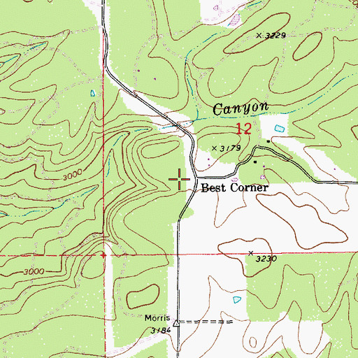 Topographic Map of Best Corner, ID