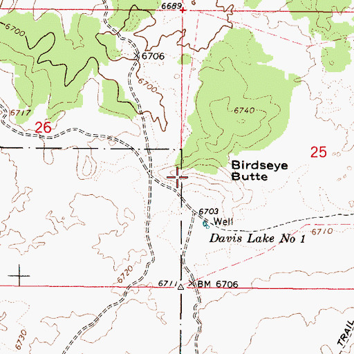 Topographic Map of Birdseye Butte, ID