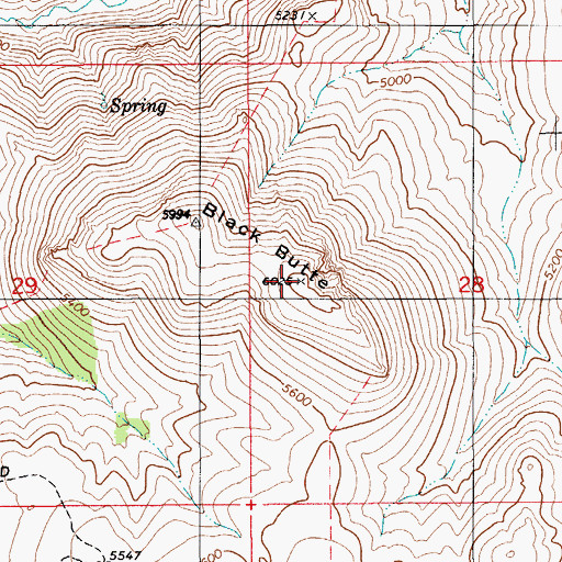Topographic Map of Black Butte, ID