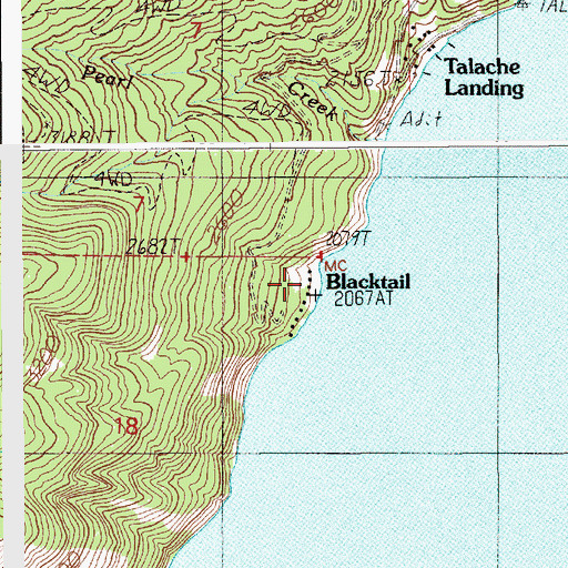 Topographic Map of Blacktail, ID