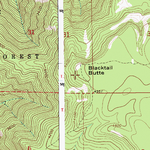 Topographic Map of Blacktail Butte, ID