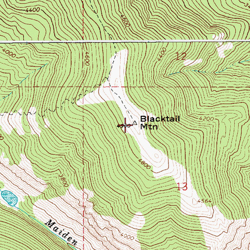 Topographic Map of Blacktail Mountain, ID