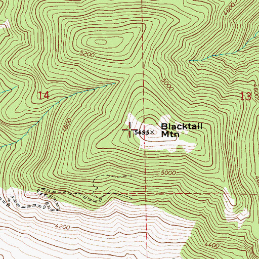 Topographic Map of Blacktail Mountain, ID