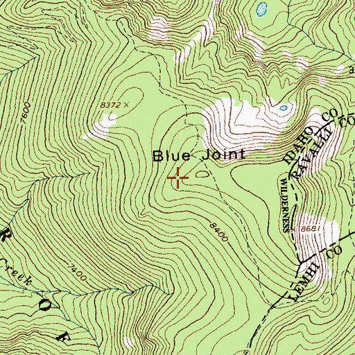 Topographic Map of Blue Joint, ID
