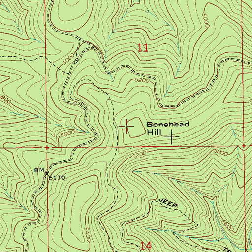 Topographic Map of Bonehead Hill, ID