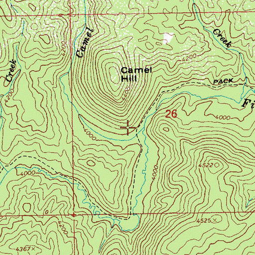 Topographic Map of Camel Creek, ID