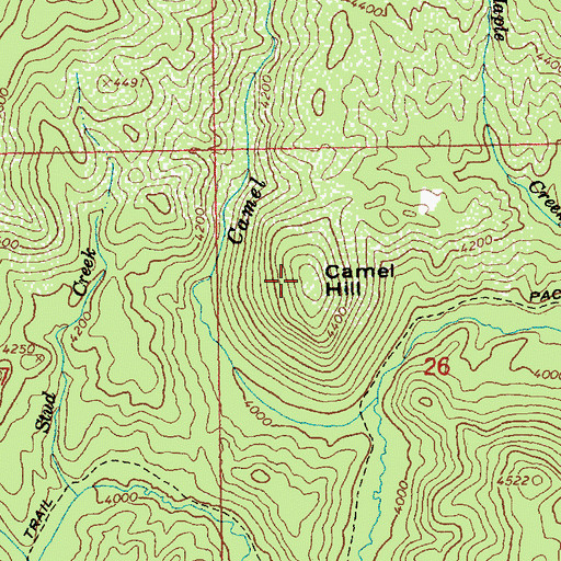 Topographic Map of Camel Hill, ID