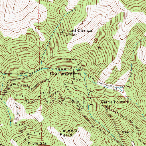 Topographic Map of Carrietown, ID