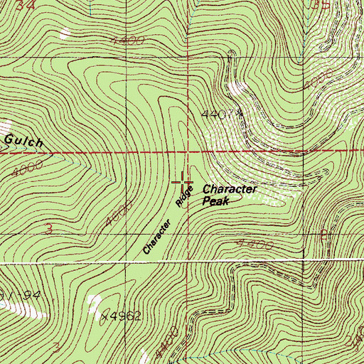 Topographic Map of Character Peak, ID
