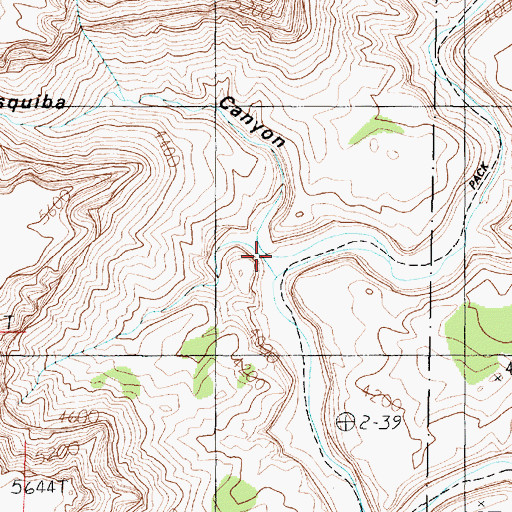Topographic Map of Disquiba Canyon, AZ