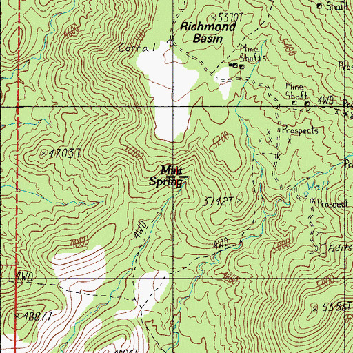 Topographic Map of Mint Spring, AZ