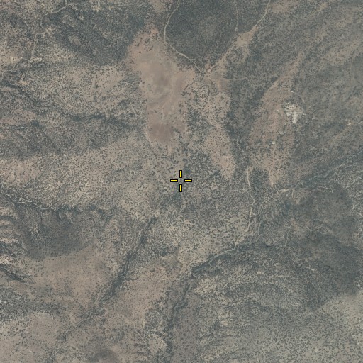 Aerial/Satellite Image of Mint Spring, AZ