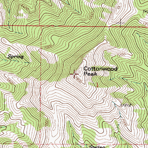 Topographic Map of Cottonwood Peak, ID