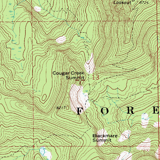 Topographic Map of Cougar Creek Summit, ID