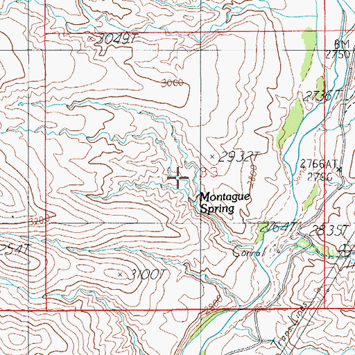 Topographic Map of Montague Spring, AZ