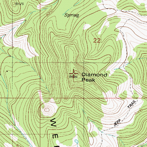 Topographic Map of Diamond Peak, ID