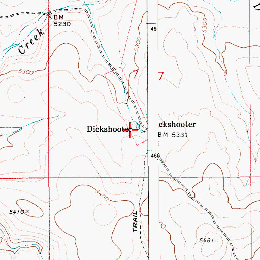 Topographic Map of Dickshooter, ID