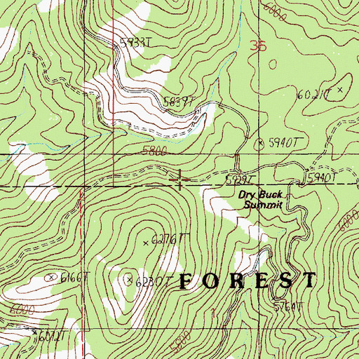 Topographic Map of Dry Buck Summit, ID