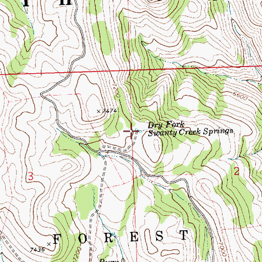 Topographic Map of Dry Fork Swanty Creek Spring, ID