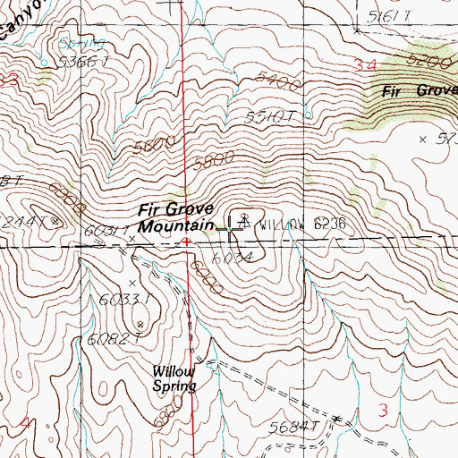 Topographic Map of Fir Grove Mountain, ID