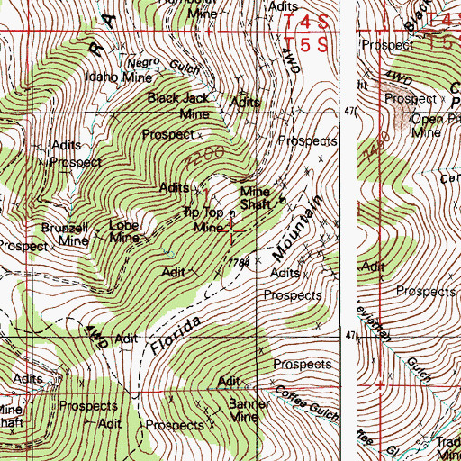 Topographic Map of Florida Mountain, ID