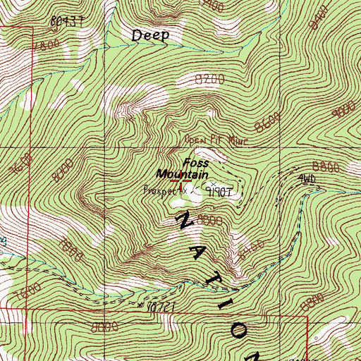 Topographic Map of Foss Mountain, ID