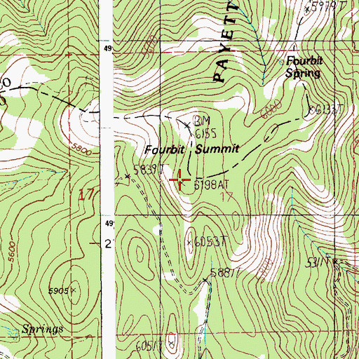 Topographic Map of Four Bit Summit, ID