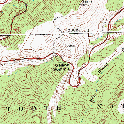 Topographic Map of Galena Summit, ID