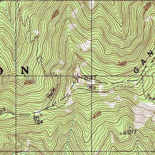 Topographic Map of Gant Ridge, ID