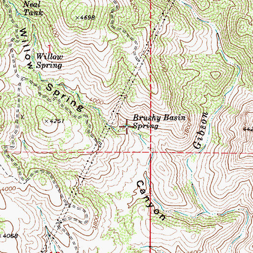 Topographic Map of Neal Tank, AZ