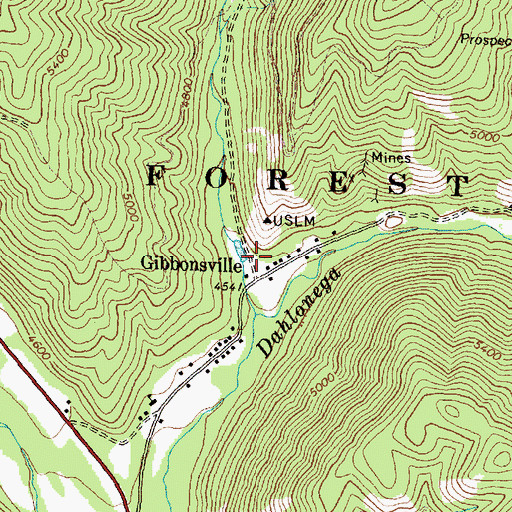 Topographic Map of Gibbonsville, ID