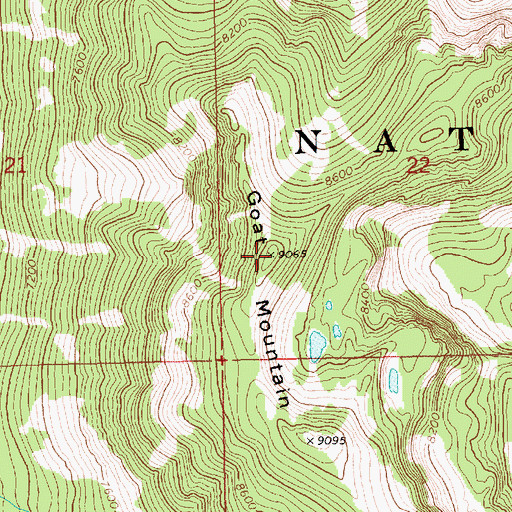 Topographic Map of Goat Mountain, ID