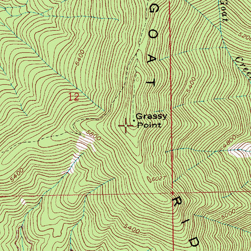 Topographic Map of Grassy Point, ID