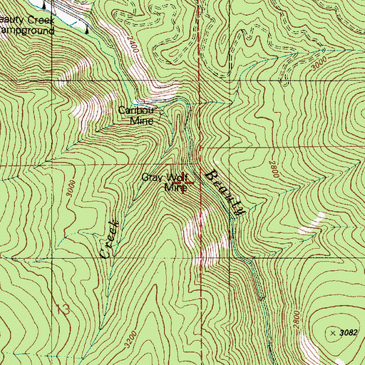 Topographic Map of Gray Wolf Mine, ID