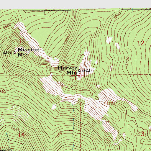Topographic Map of Harvey Mountain, ID