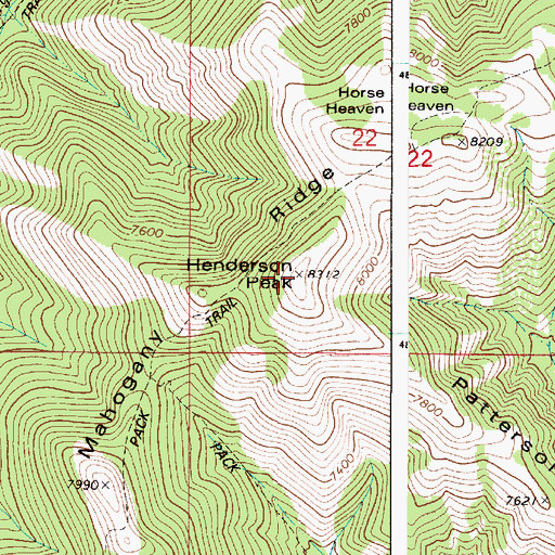Topographic Map of Henderson Peak, ID
