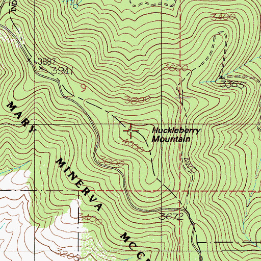 Topographic Map of Huckleberry Mountain, ID