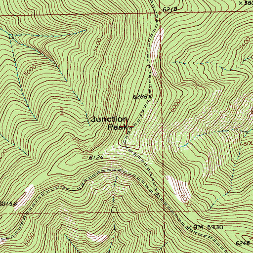 Topographic Map of Junction Peak, ID