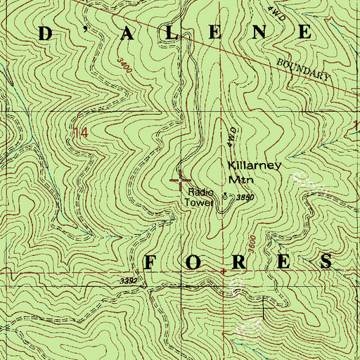 Topographic Map of Killarney Mountain, ID
